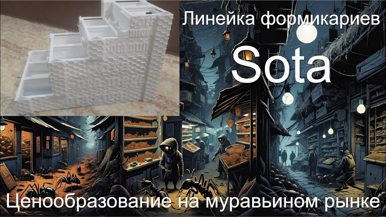 Обзор на новые формикарии. Подведение итогов конкурса.