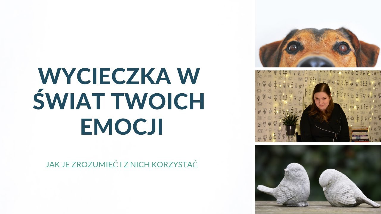 Jak rozumieć własne emocje lepiej i nauczyć się wytwarzać niekt&oacute;re? #SŚ 39