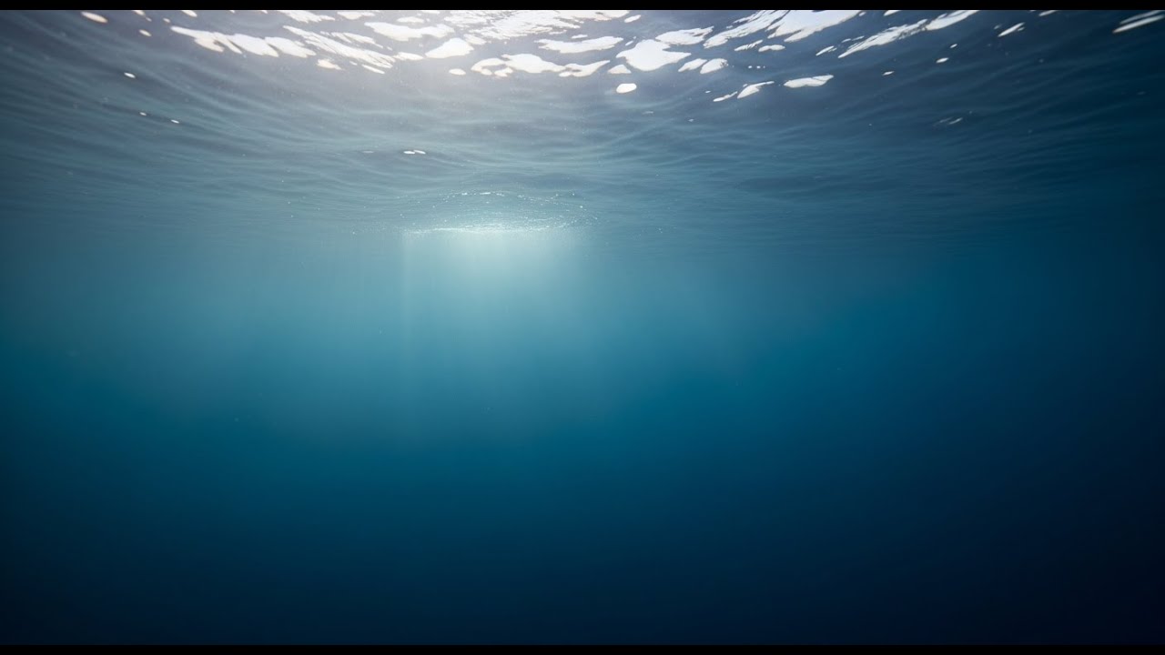 A Calm Journey Through the Ocean 🌊 | Realistic Underwater POV | Relaxing Documentary