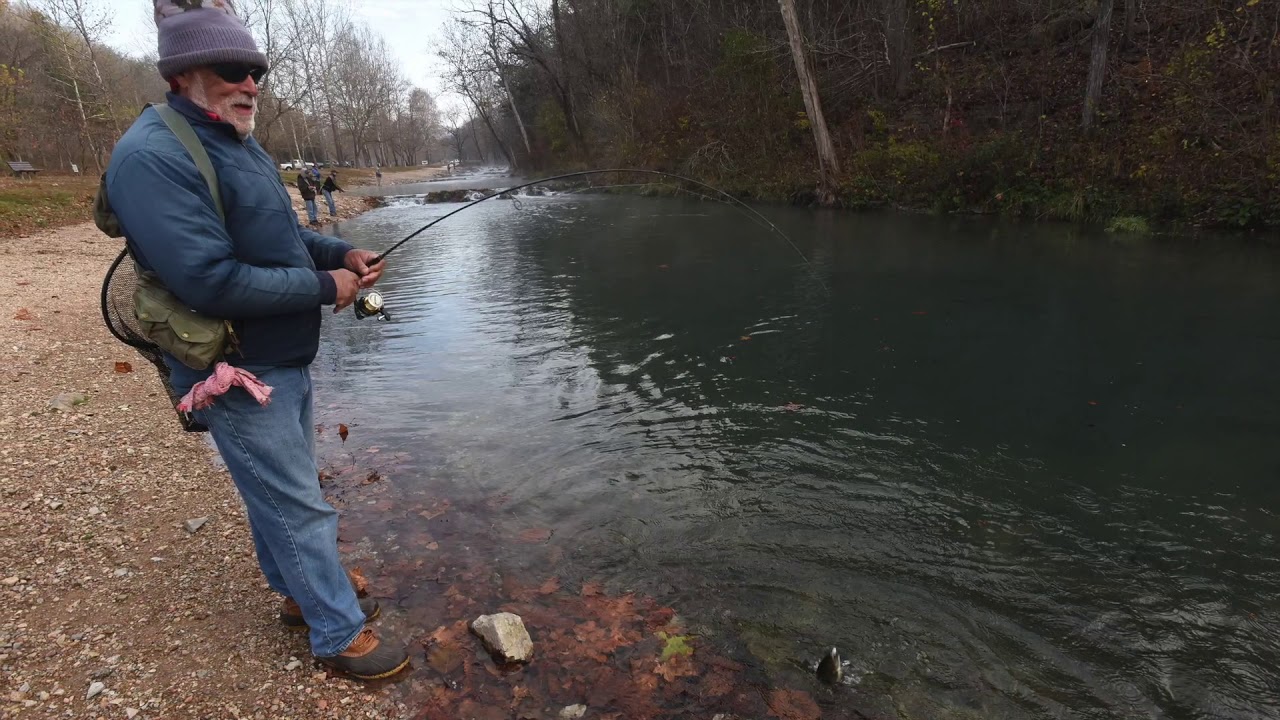 Roaring River Trout