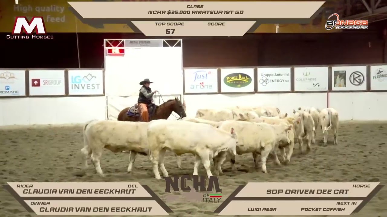 Ncha $25.000 Amateur 1st show Champion