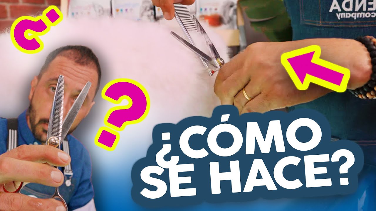 LA MEJOR TECNICA🔥 Para CORTAR EL PELO CON TIJERA a tu BICHÓN MALTÉS