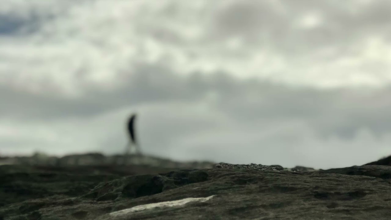 Calibre Ambient Mix June 2025