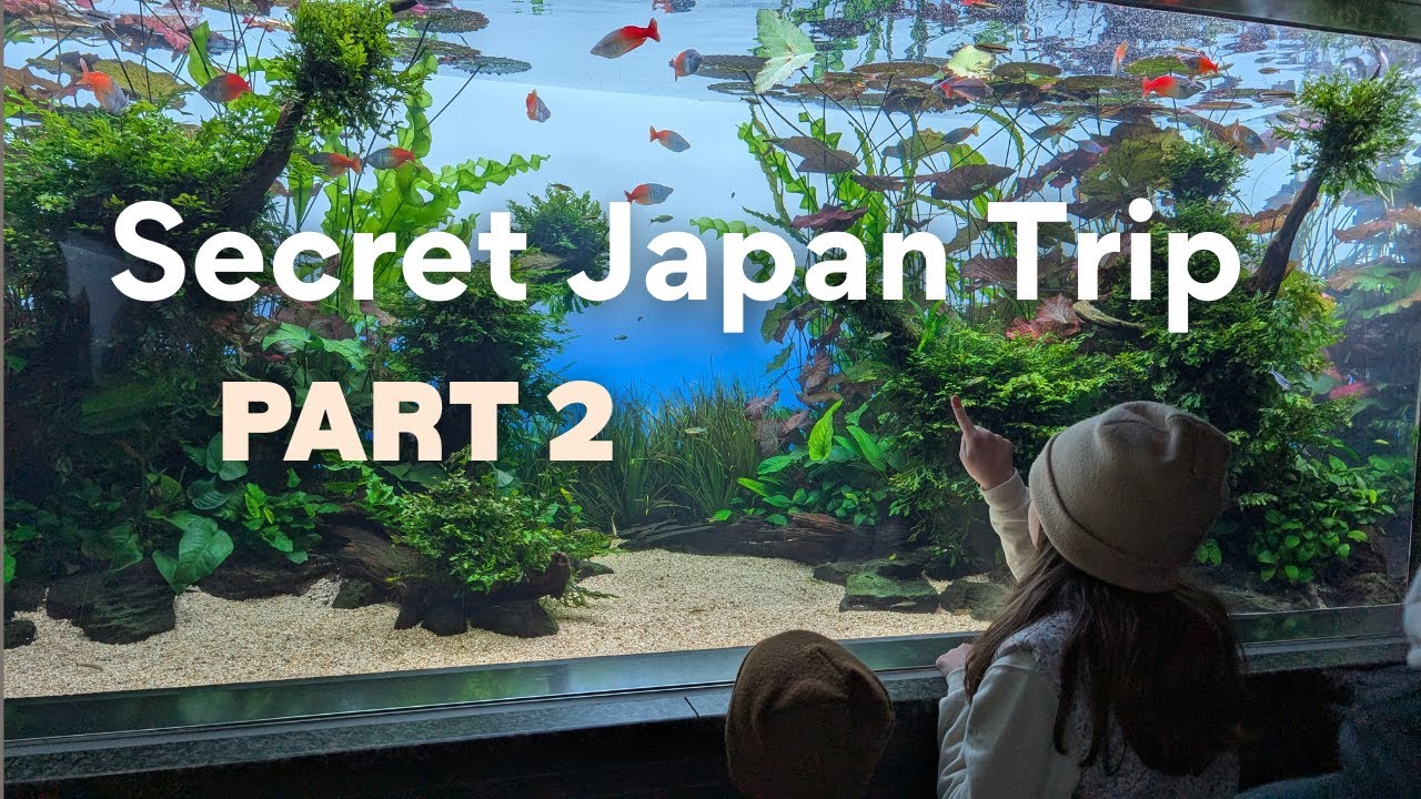 We found Tokyo's best aquarium ever!