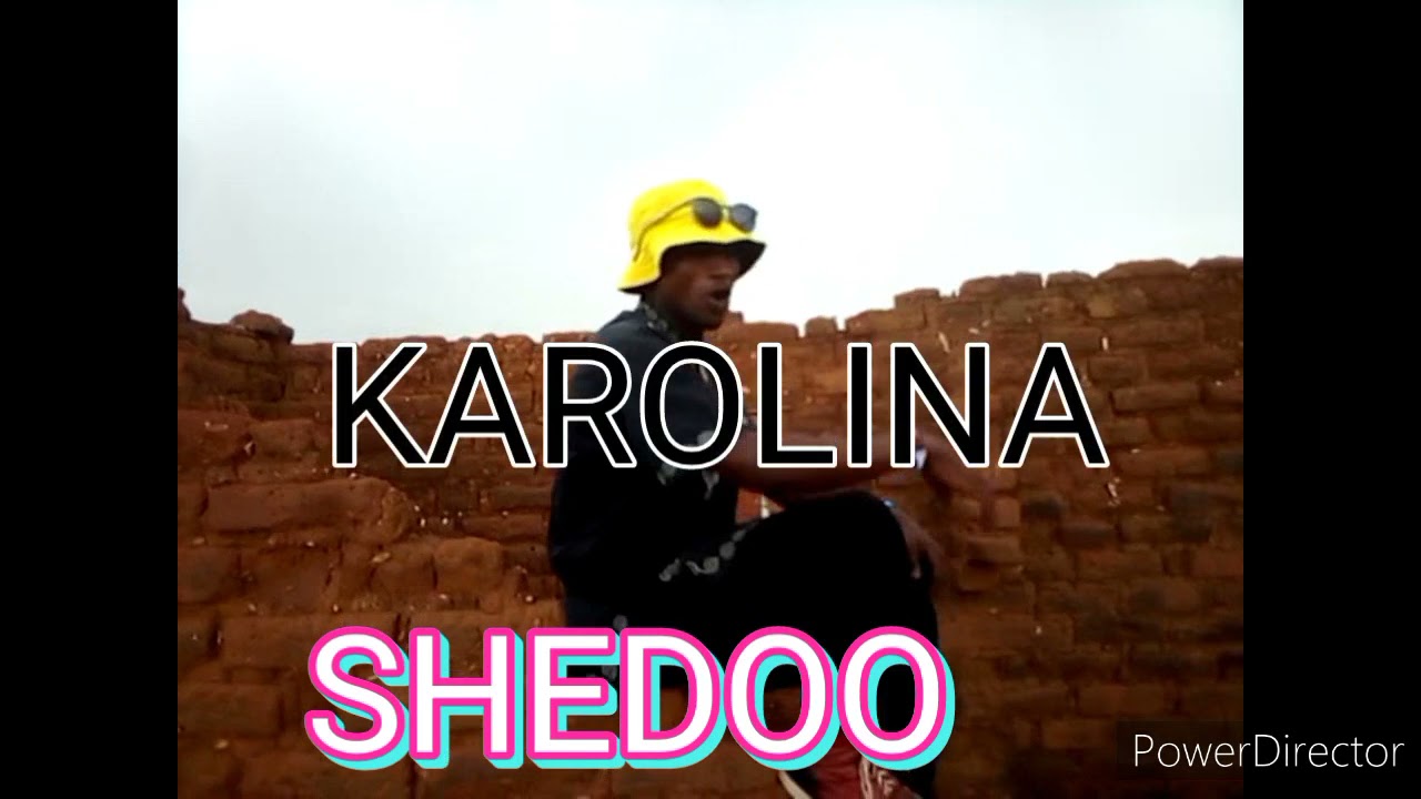 SHEDOO karolina