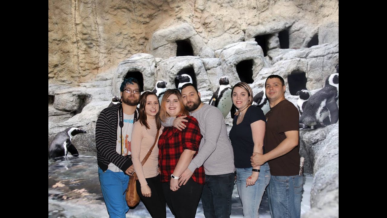 Gburgh 2k17 Petting Penguins!!!
