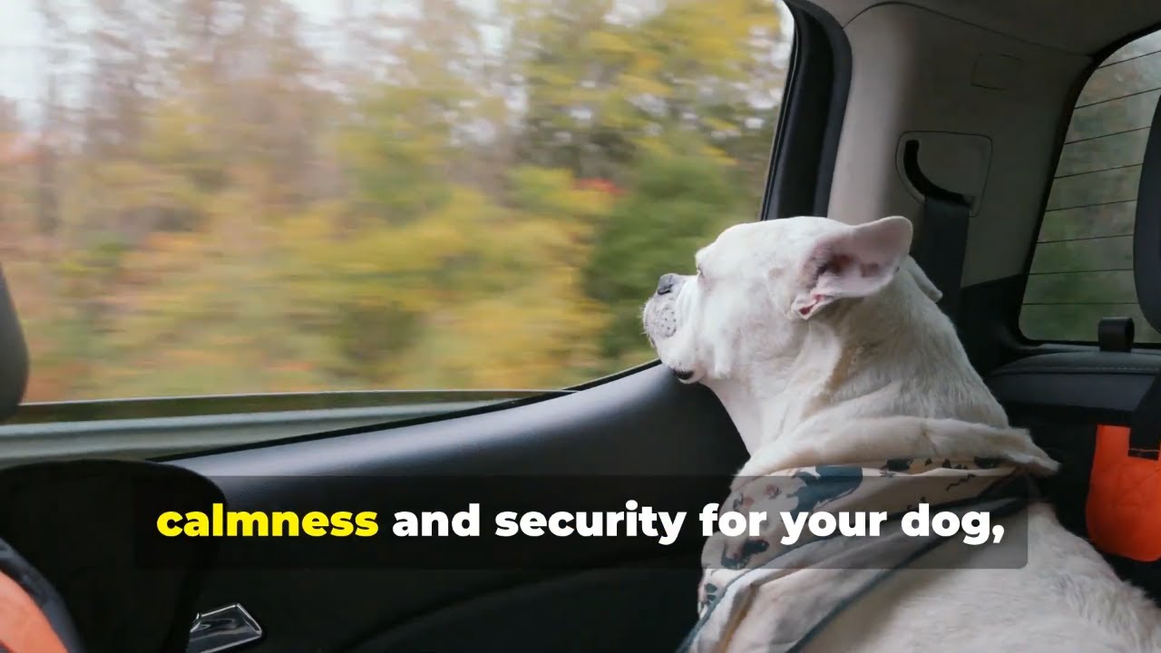 Top Calming Products for Traveling Dogs 🐶✈️ | Stress-Free Journeys Made Easy! 🧳🐾
