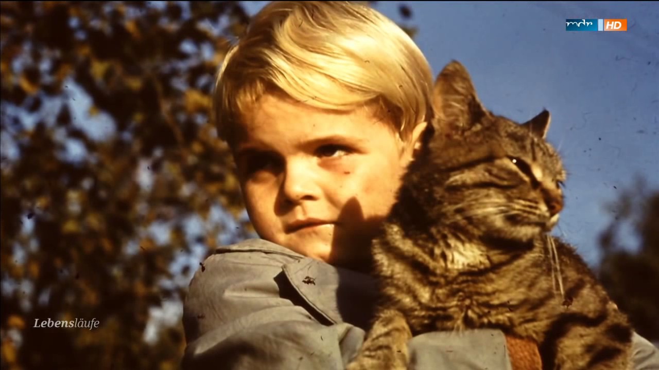 Portrait Hans-Eckardt Wenzel - Sänger, Dichter, Weltentdecker - Lebensläufe - Reportage