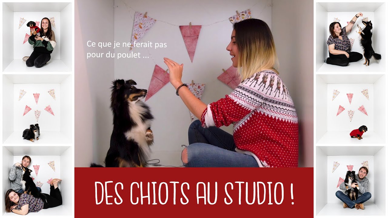 Des chiots au studio ! VLOG PHOTOGRAPHE - Calendrier de l'Avent #1