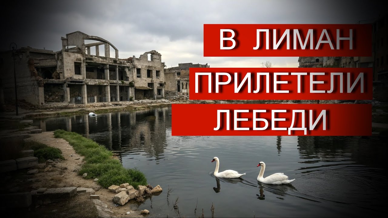 В Лиман прилетели лебеди!