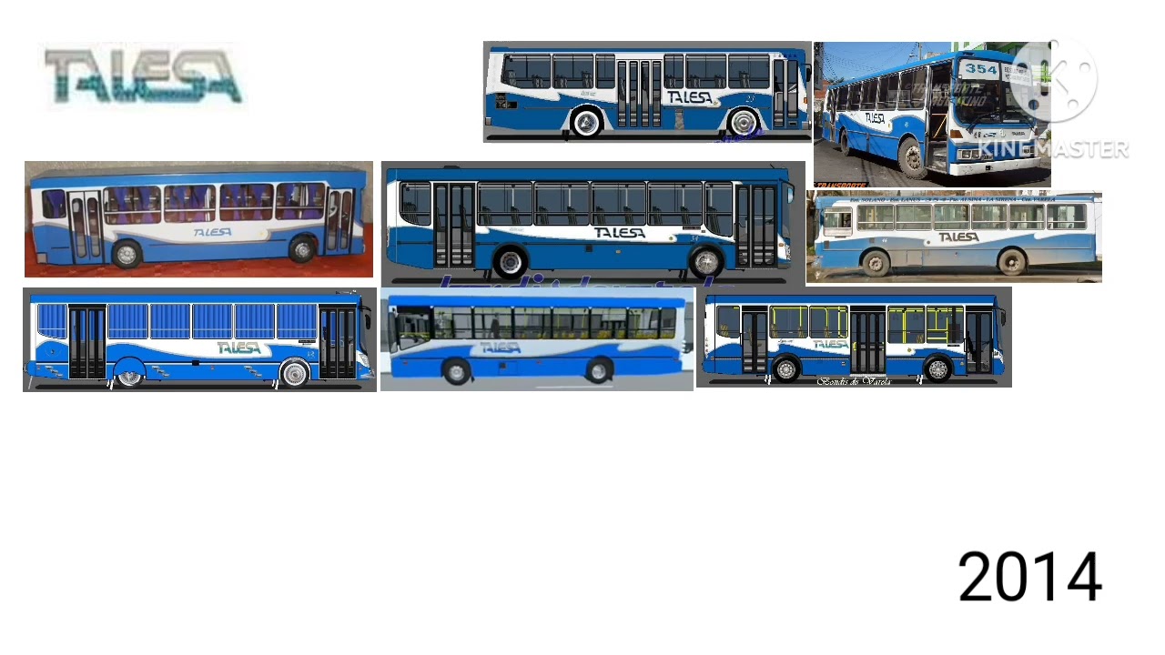 evolución linea 354 talesa 2000-2026 historia 