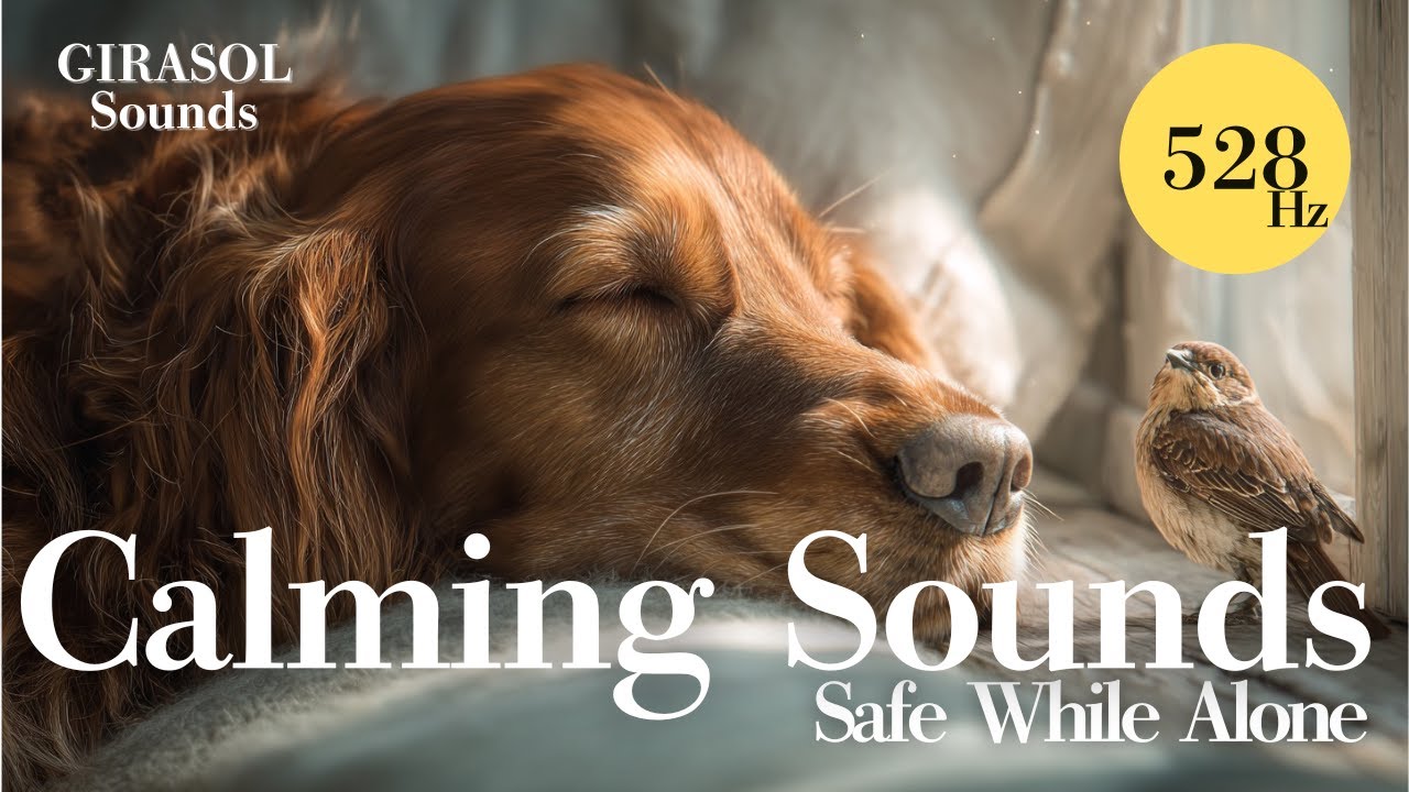 【Includes Gentle Birdsong】Calm Sounds for Dogs While Alone | Safe & Calm | 10H