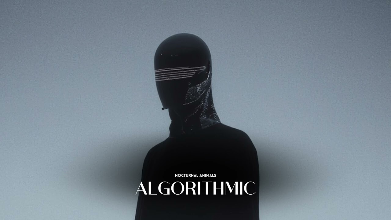Nocturnal Animals - Algorithmic