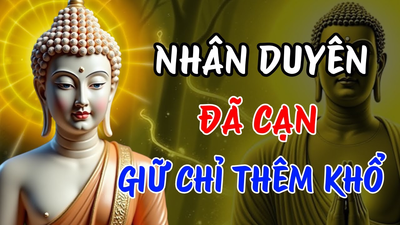Khi Nhân Duyên Đã Cạn – Học Cách Buông Để Không Thành Khổ Nghiệp
