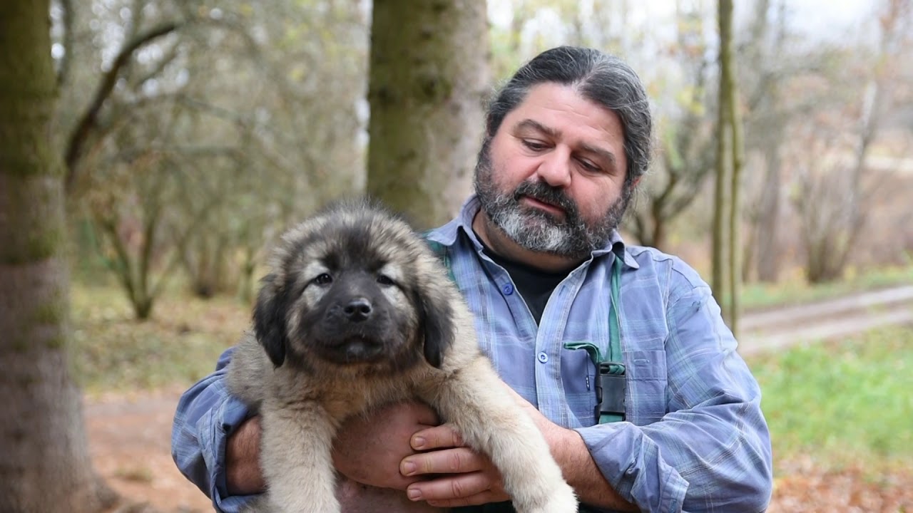 Jedna zemlja - dva sistema