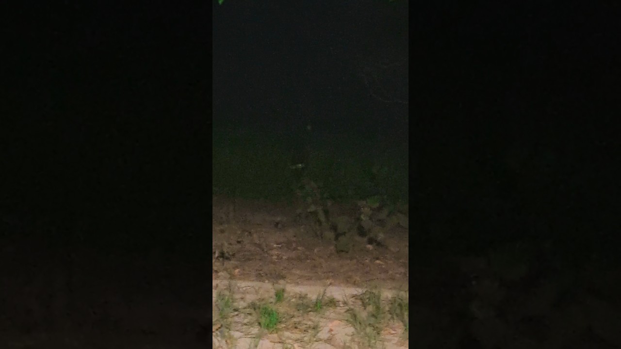 Sunsan Ilaka | 😨😱 |