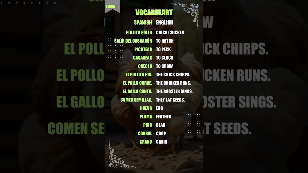 Learn Spanish: Essential Chick & Chicken Vocab! 🐥🇪🇸 | B2