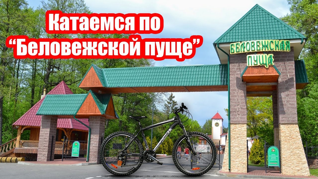 Беловежская пуща, катаемся на велосипедах и готовим обед