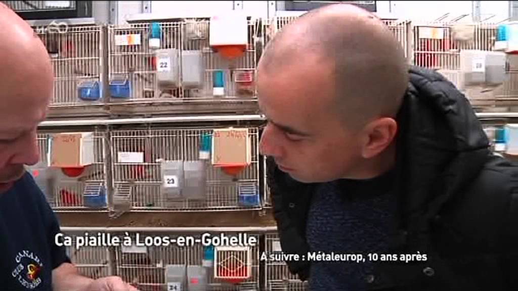 Weo reportage BT