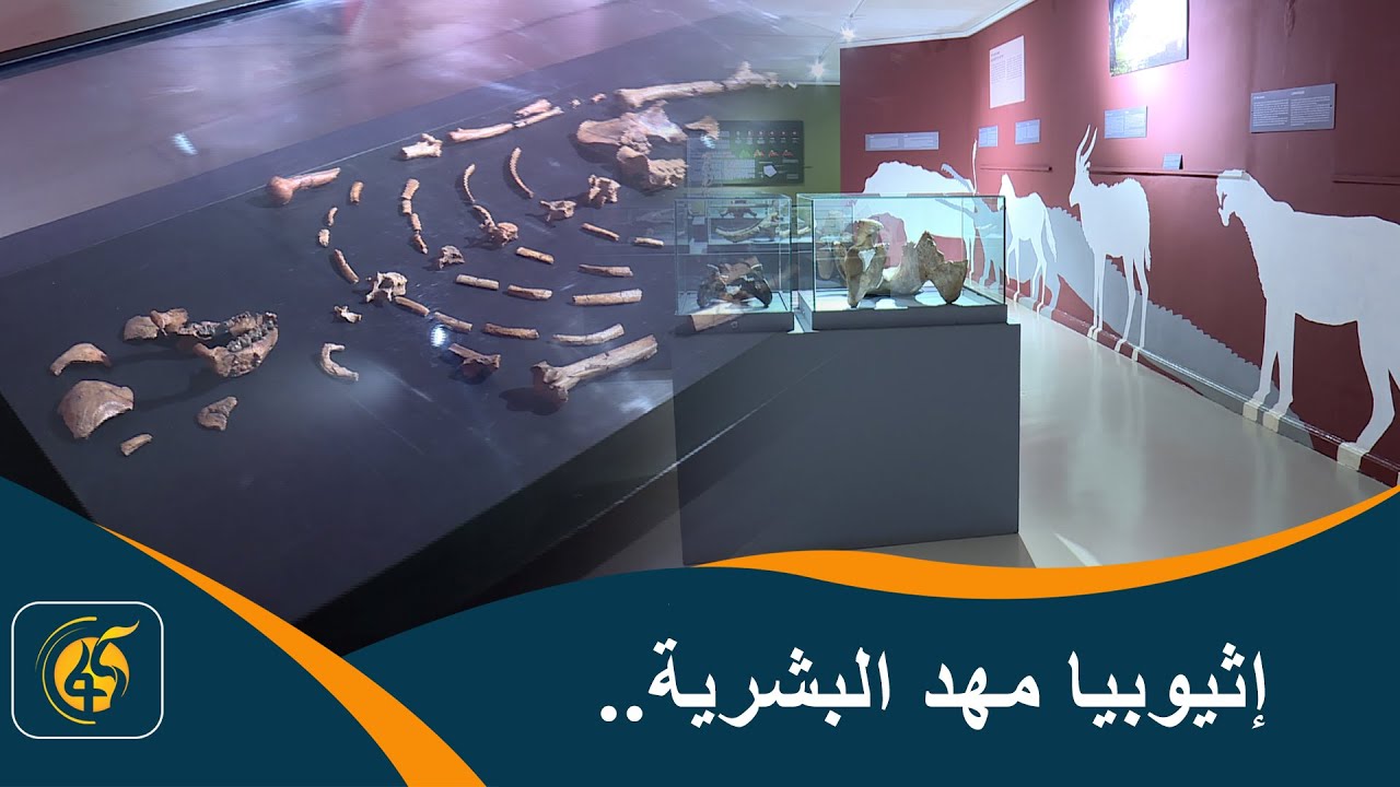 رحلة عبر تاريخ تطوّر الإنسان.. الأدلة الأحفورية من إفريقيا إلى إثيوبيا| الجزء الثاني | حول إثيوبيا