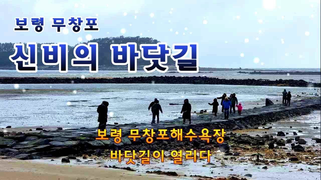 보령의 무창포 신비의바닷길은 한달에 한번 보름과 그믐의 사리 때 대체로 11시 전후에 썰물로 인하여 해수욕장과 섬 석대도가 연결되면 걸어서 들어갈 수가 있다.
