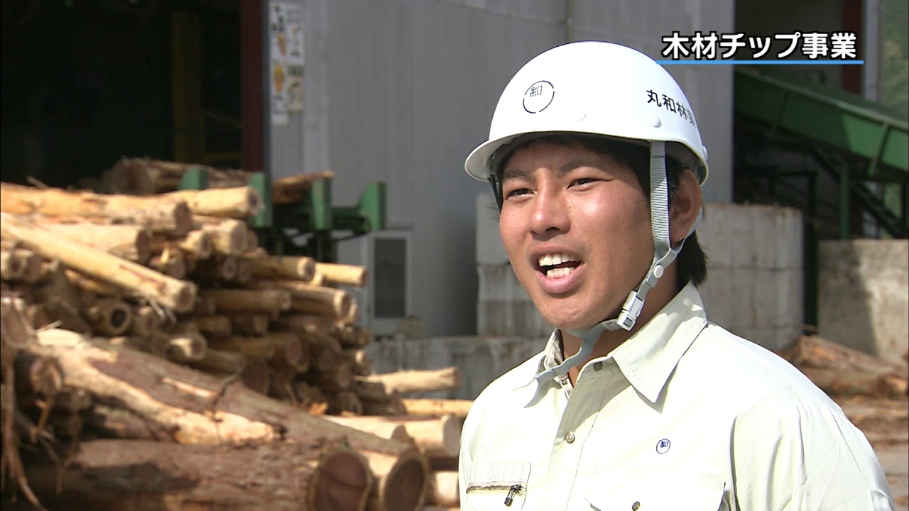 丸和林業グループ企業紹介動画【日本語版】