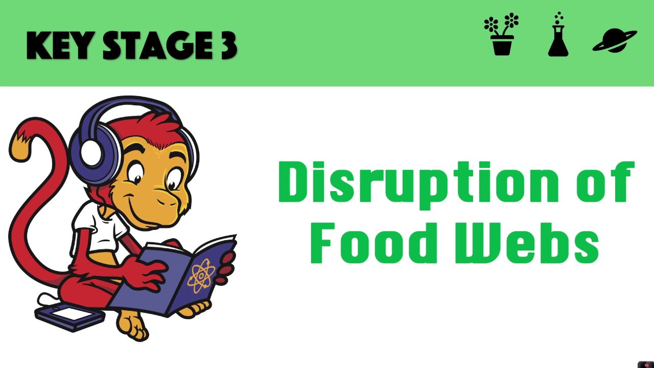 Disruption of food webs