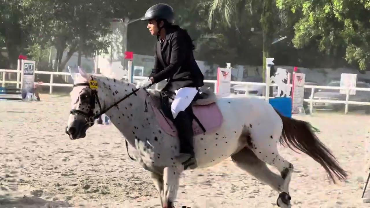 MERDEKA CUP 2025 - DAY 2 - 40CM - 60CM CLASS - RIDING AMALITA
