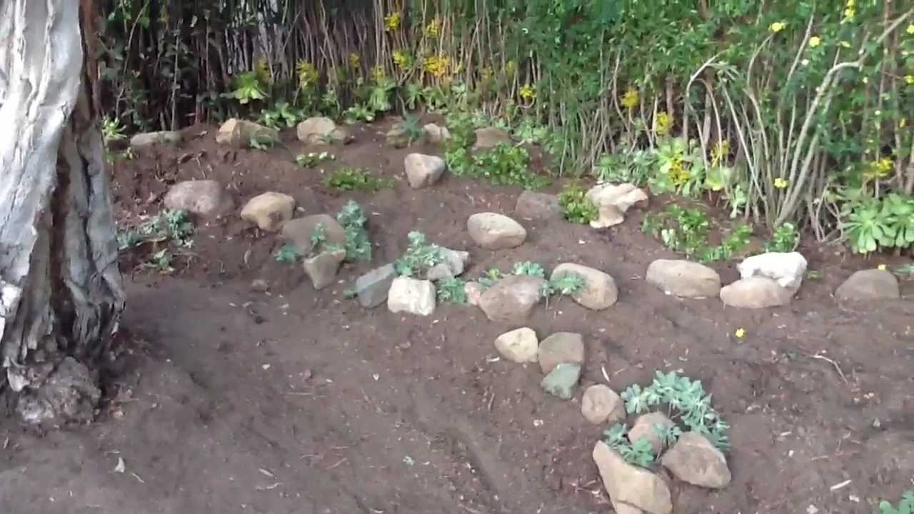 Corner Rock Garden, Stage VII, in Grace's Garden