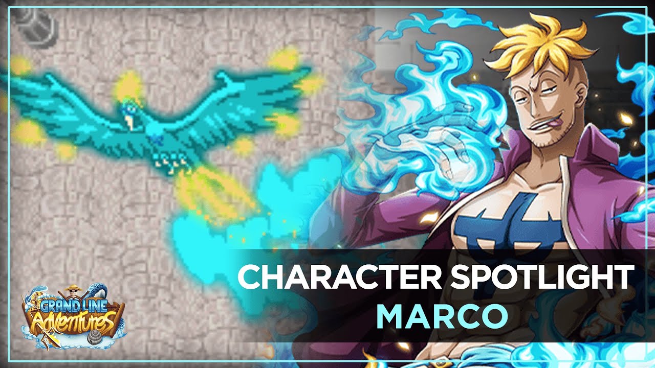 Marco Spotlight | Grand Line Adventures