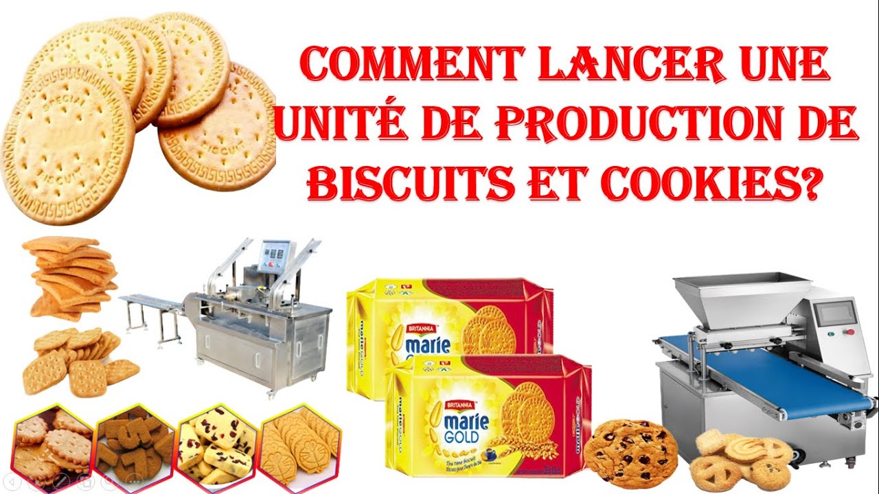 Découvrez comment lancer avec succès une unité de production de biscuits et de cookies