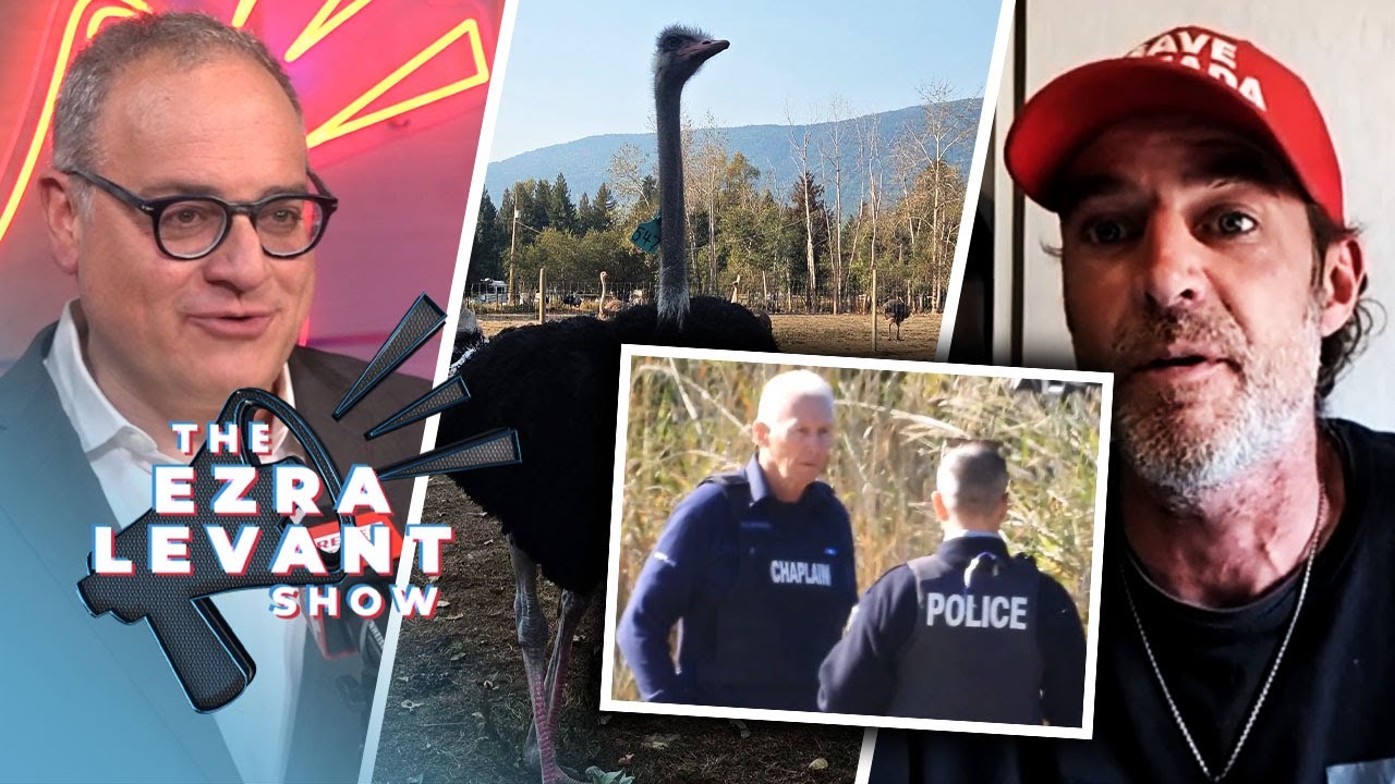 Independent journalist provides update on potential looming cull at Universal Ostrich Farms