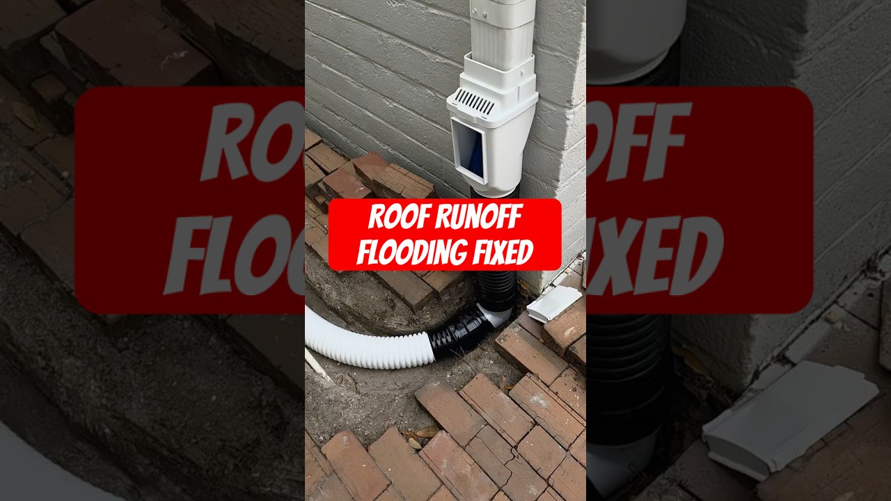 Fixing Roof Runoff & Yard Flooding Fast!