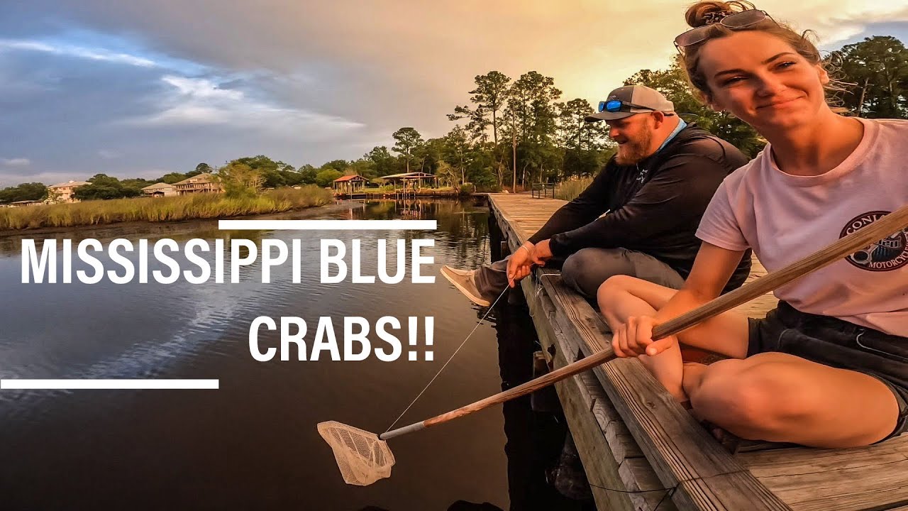 HOW TO CATCH BLUE CRABS FROM A DOCK EASILY!!
