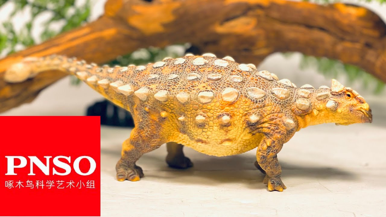 PNSO Sede the Ankylosaurus Review!!!