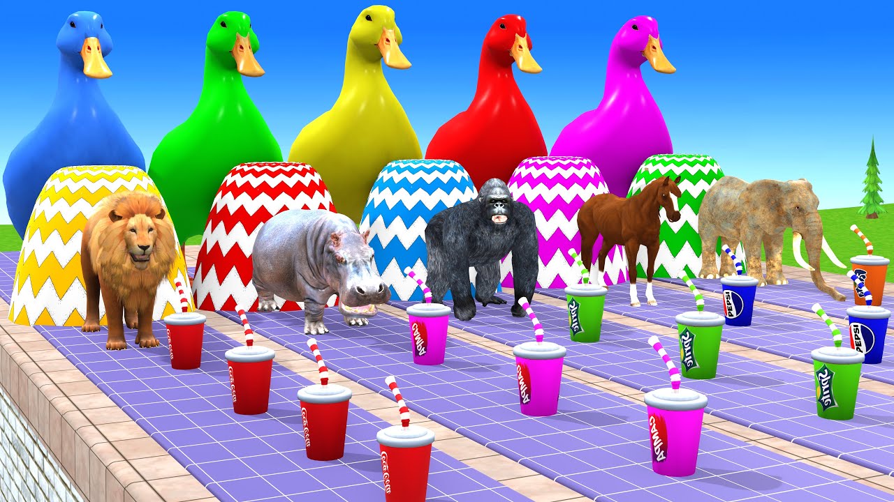 Long Slide Game With Cow Elephant Gorilla Hippopotamus Tiger 3d Animal Game Funny 3d Animals