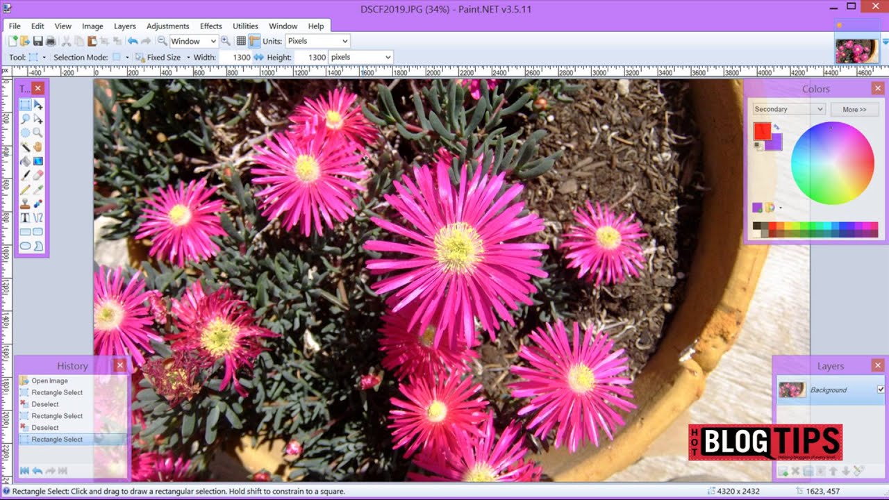 How To Crop an Image in Paint.net