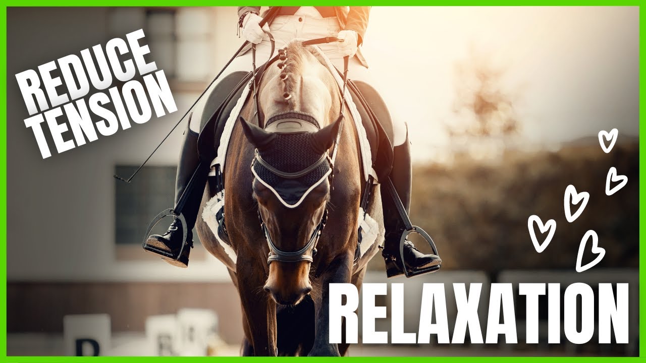How to PROMOTE RELAXATION from The Complete Online Dressage Course | How To Dressage