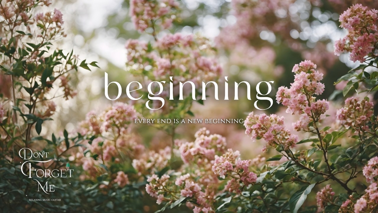 Every End is a New Beginning 🌸🍃 Quiet Guitar for Study, Focus & Inner Calm