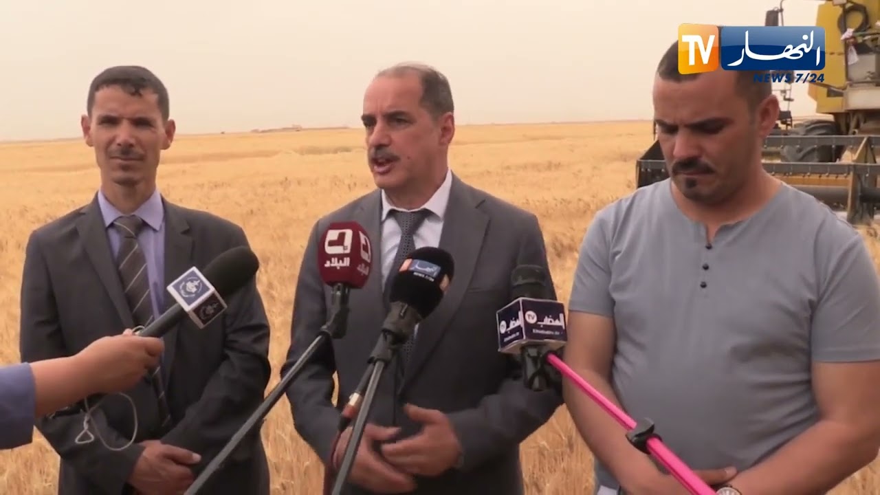 خنشلة:   توقعات بإنتاج أزيد من 800 ألف قنطار من الحبوب مع إنطلاق موسم الحصاد والدرس