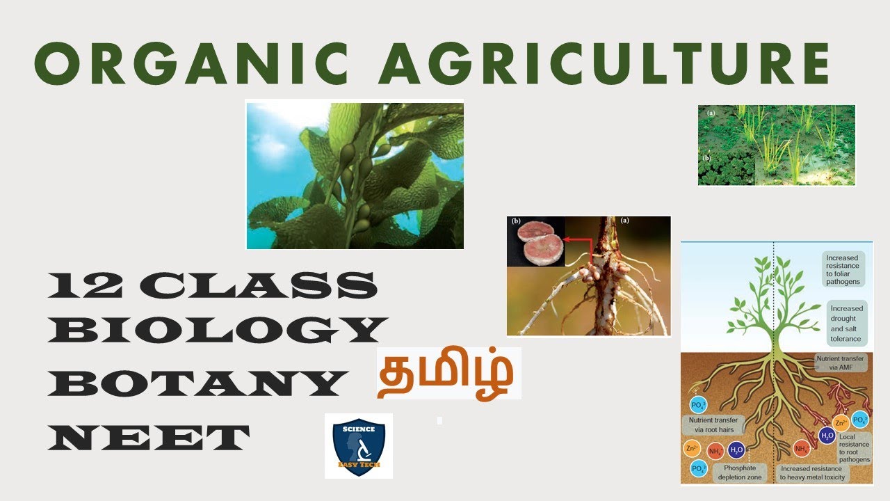 Organic Agriculture in Tamil | Plant Breeding I  Botany | Class 12 | TNSCERT | NEET