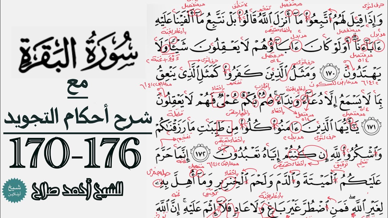 كيف تقرأ سورة البقرة مع شرح أحكام التجويد| 170-176
