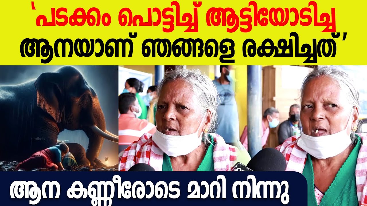 ഞങ്ങളെ ഒന്നും ചെയ്യരുതെന്ന് പറഞ്ഞു, ആട്ടിയോടിച്ച ആന ഞങ്ങളെ രക്ഷിച്ചു | Wayanad Landslide