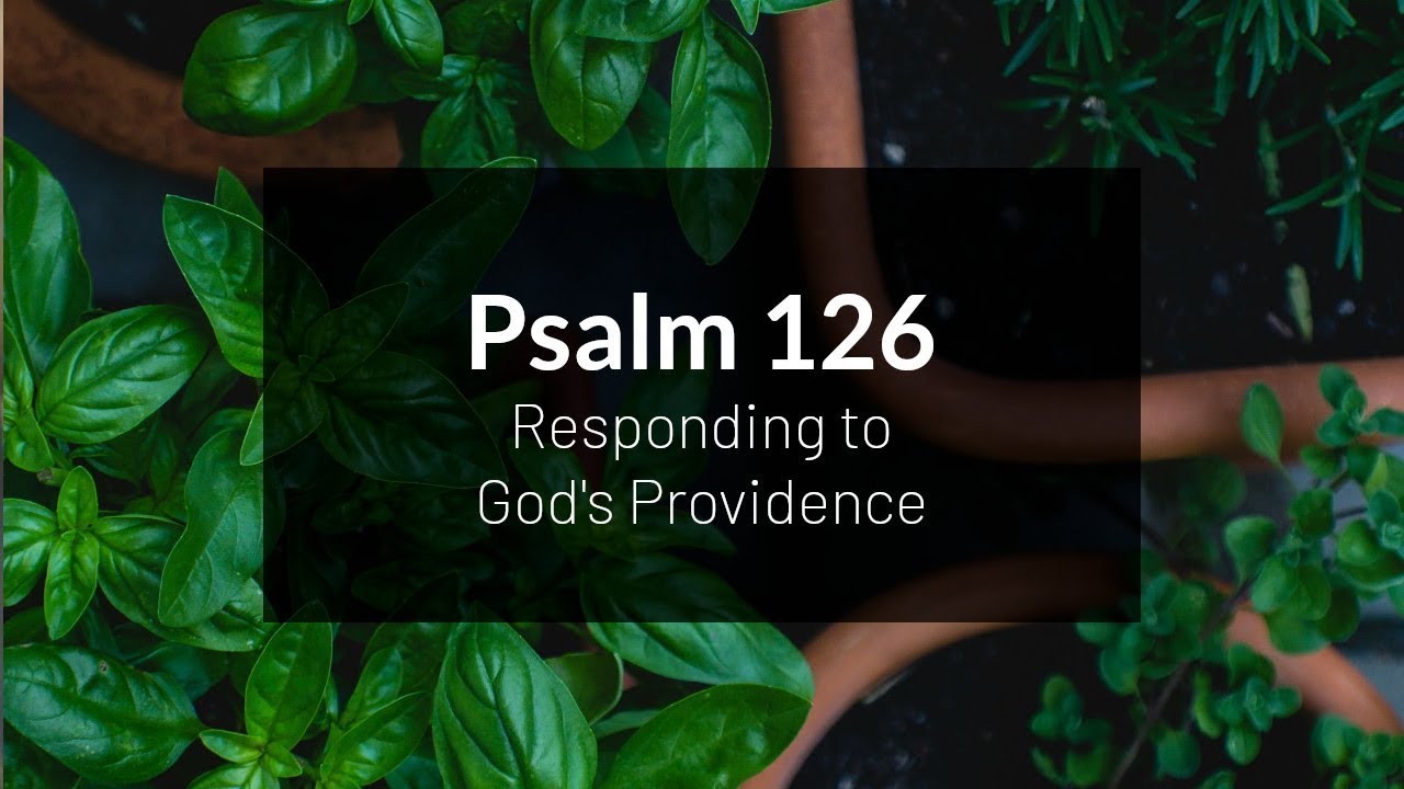 Отвечая на Божье провидение — Псалом 126