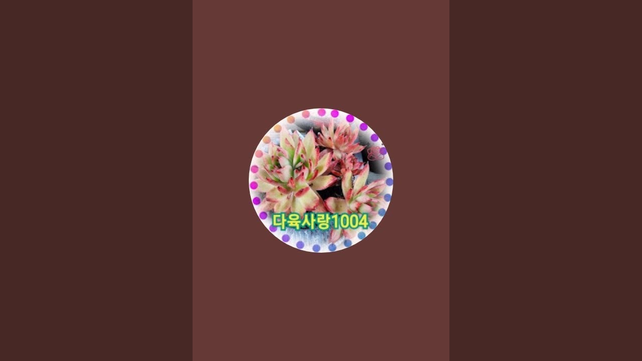 다육사랑1004농원 라이브 스트리밍 중