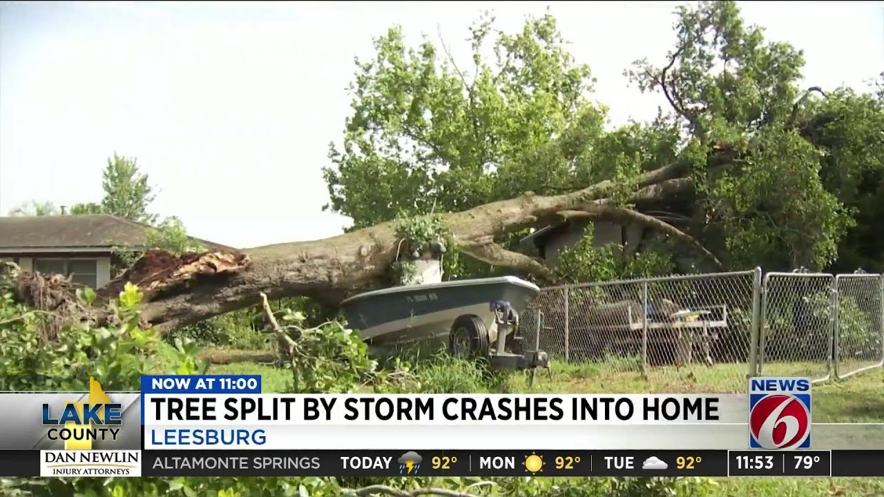 A FAMILY IS LUCKY TO BE ALIVE AFTER A LARGE TREE FALLS ON HOUSE