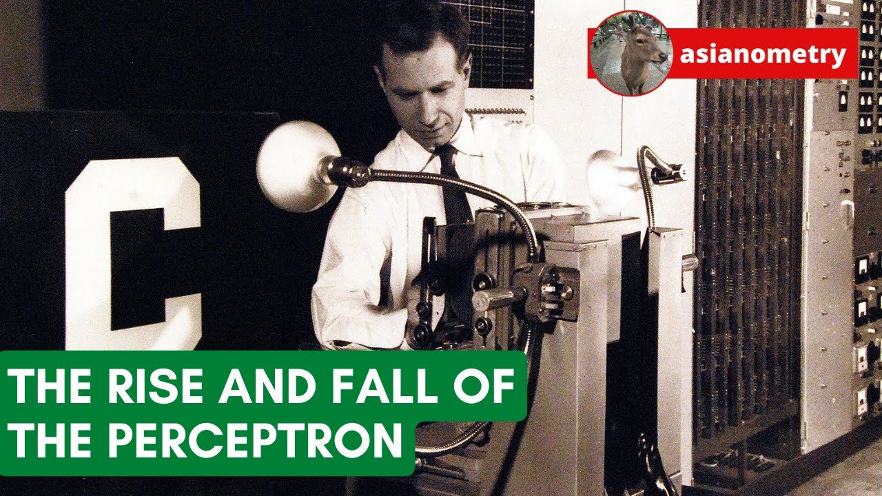 The First Neural Networks