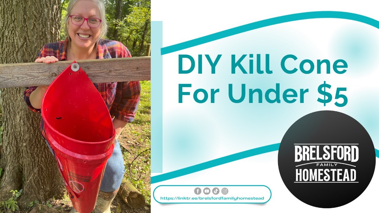 DIY Poultry Kill Cone For Under $5 - Brelsford Family Homestead