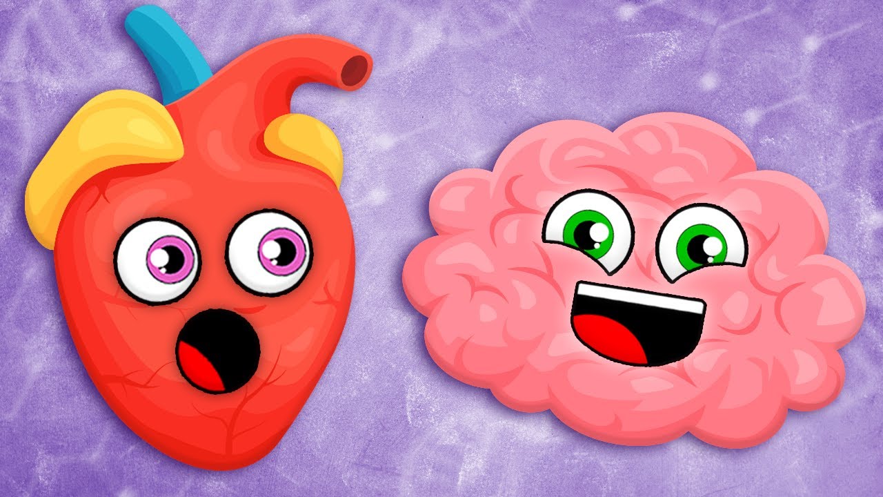 Learn About The Most Powerful Parts Of Your Body! | Human Body Songs For Kids | KLT Anatomy