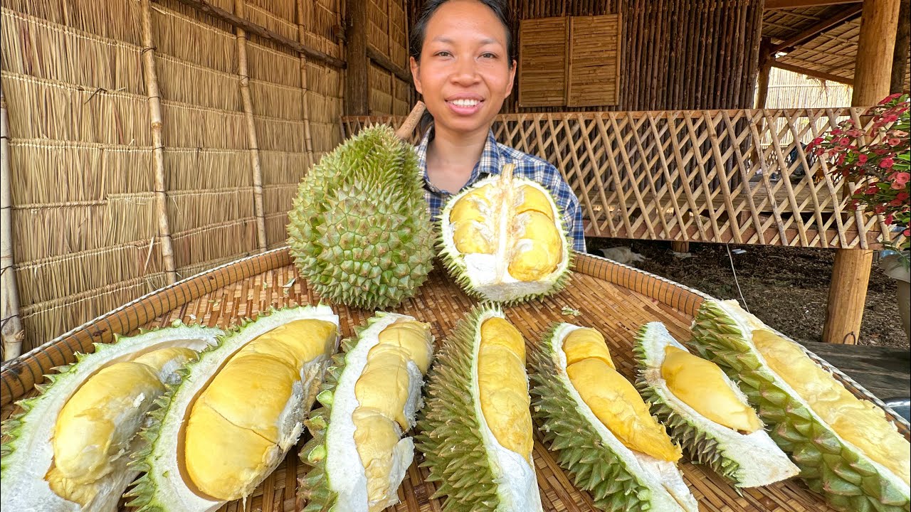 ធ្វើការ៉េមទុរេនចែកពុកម៉ែបងប្អូនក្នុងភូមិ ឆម ស្រីផាច - Chhom Sreypach